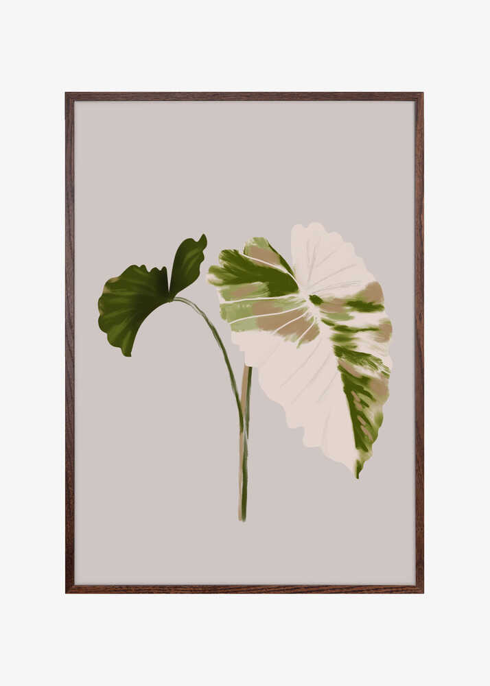 Filodentro Tropical Leaves