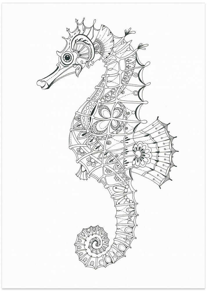 Ornate Seahorse Design