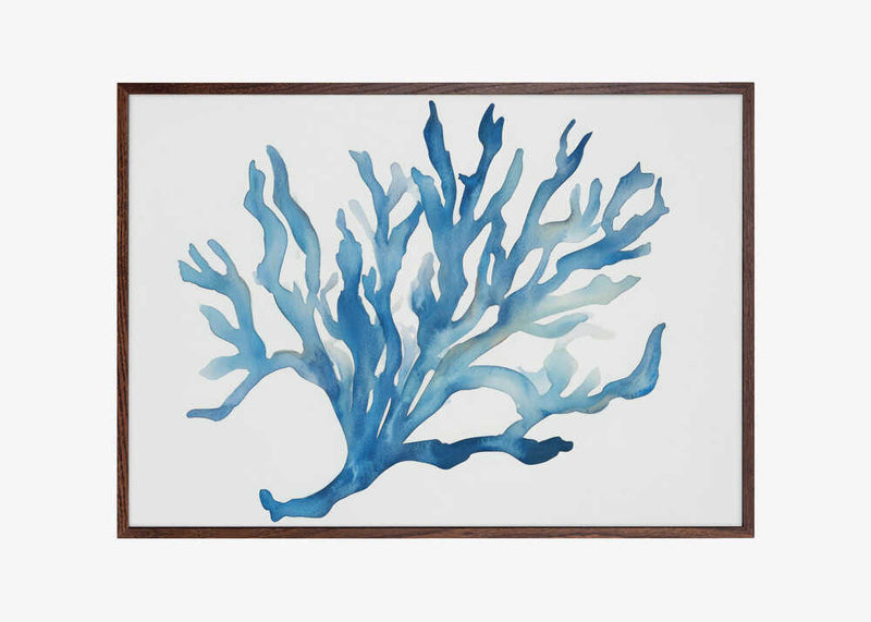Blue Coral