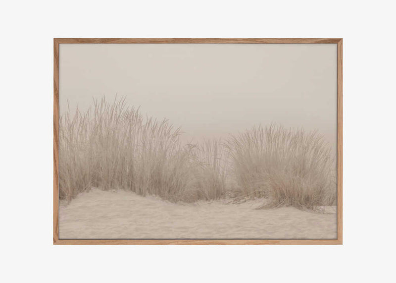 Dunes Grass Beige