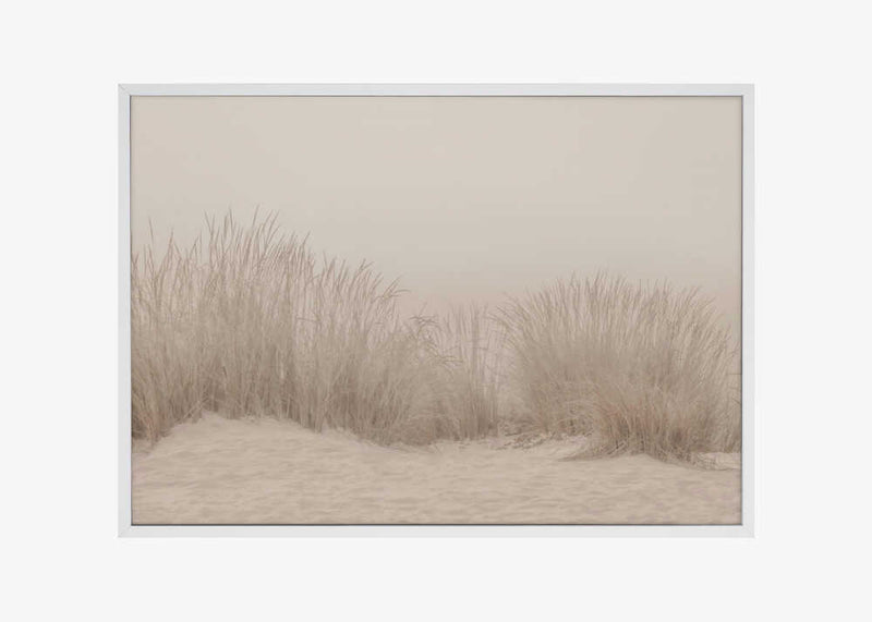 Dunes Grass Beige