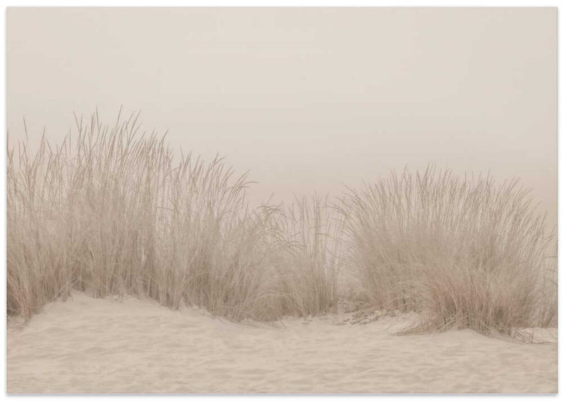 Dunes Grass Beige