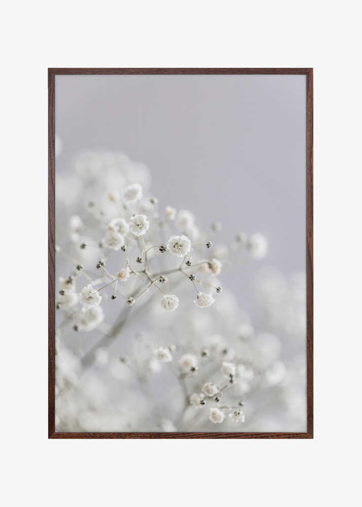 White Breath Flowers