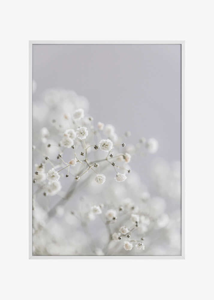 White Breath Flowers