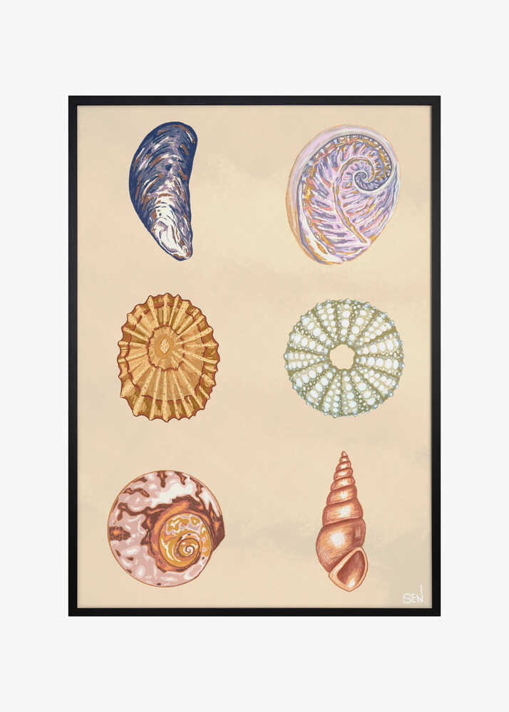 Treasures of the Tide