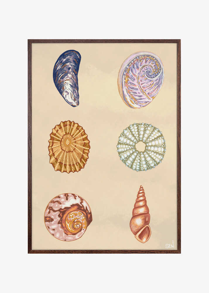 Treasures of the Tide