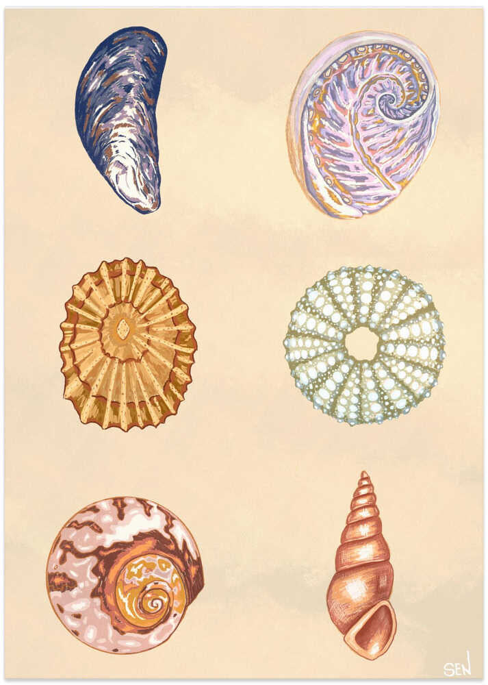 Treasures of the Tide