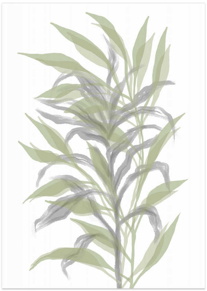 Silent Bamboo Leaf