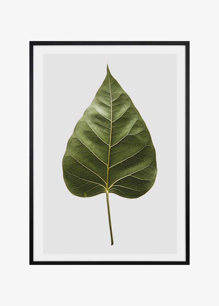 Leaf's Intricate Veins