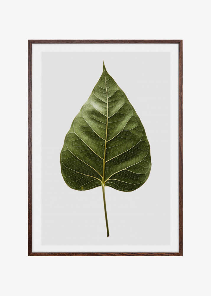 Leaf's Intricate Veins