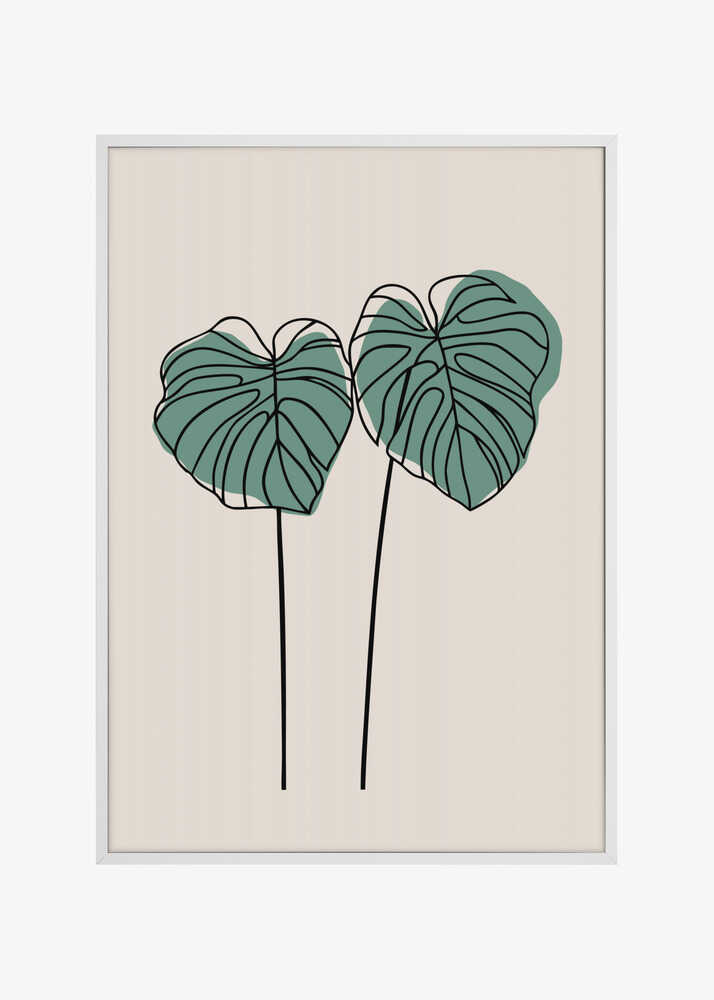 Monstera Leaves