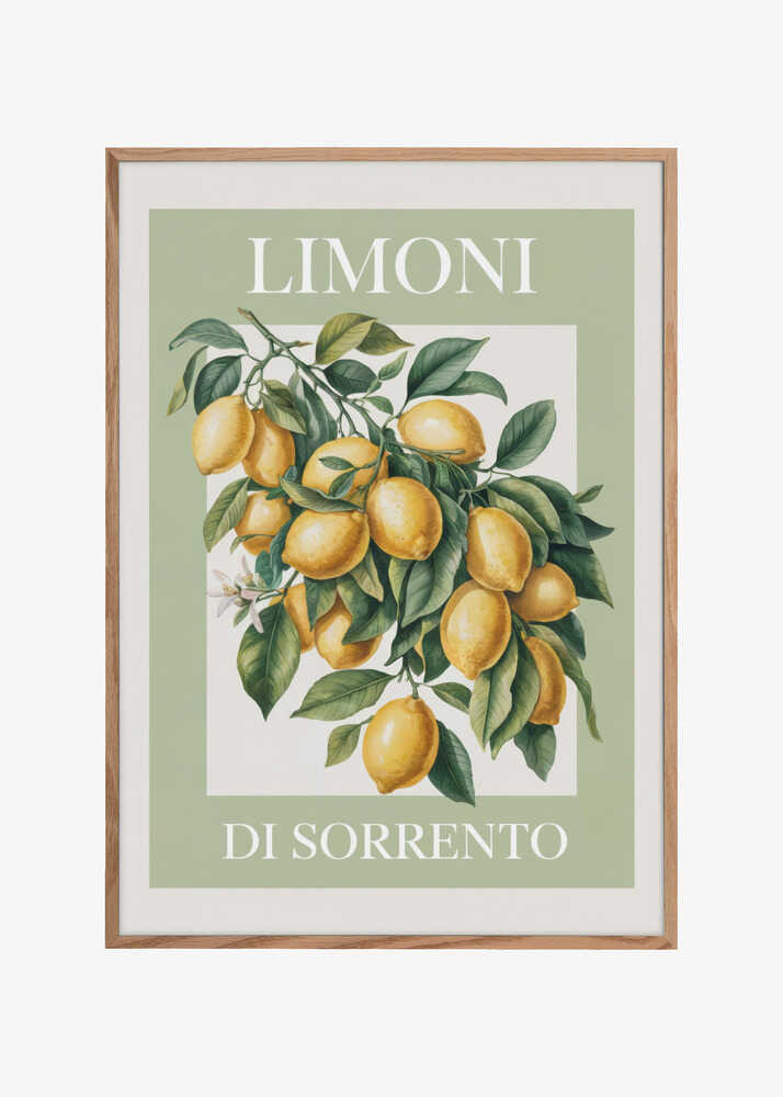 Limoni Di Sorrento 2