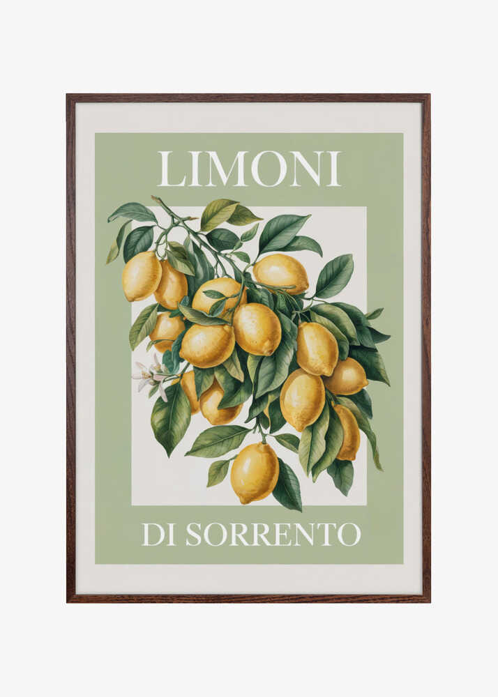 Limoni Di Sorrento 2