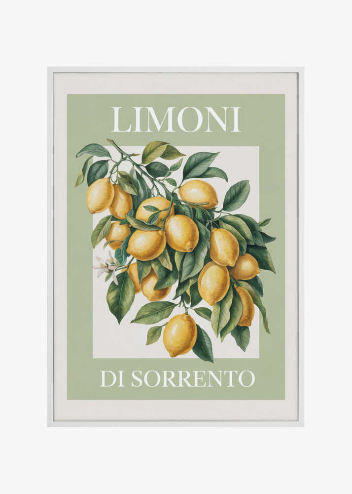 Limoni Di Sorrento 2