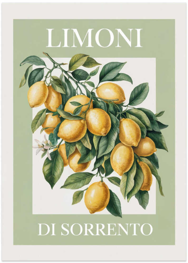 Limoni Di Sorrento 2