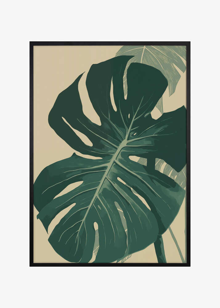 Monstera Leaf