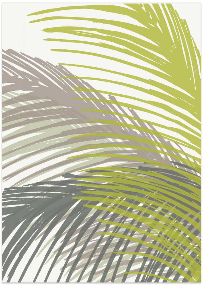 Palm Leaf Silhouette