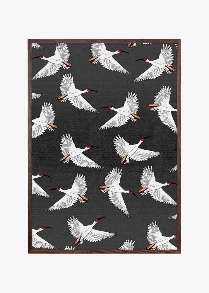 Crested Ibis Pattern