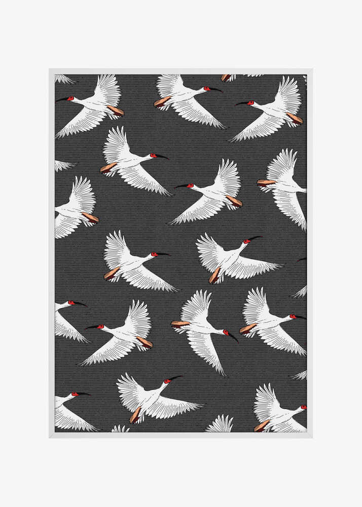 Crested Ibis Pattern