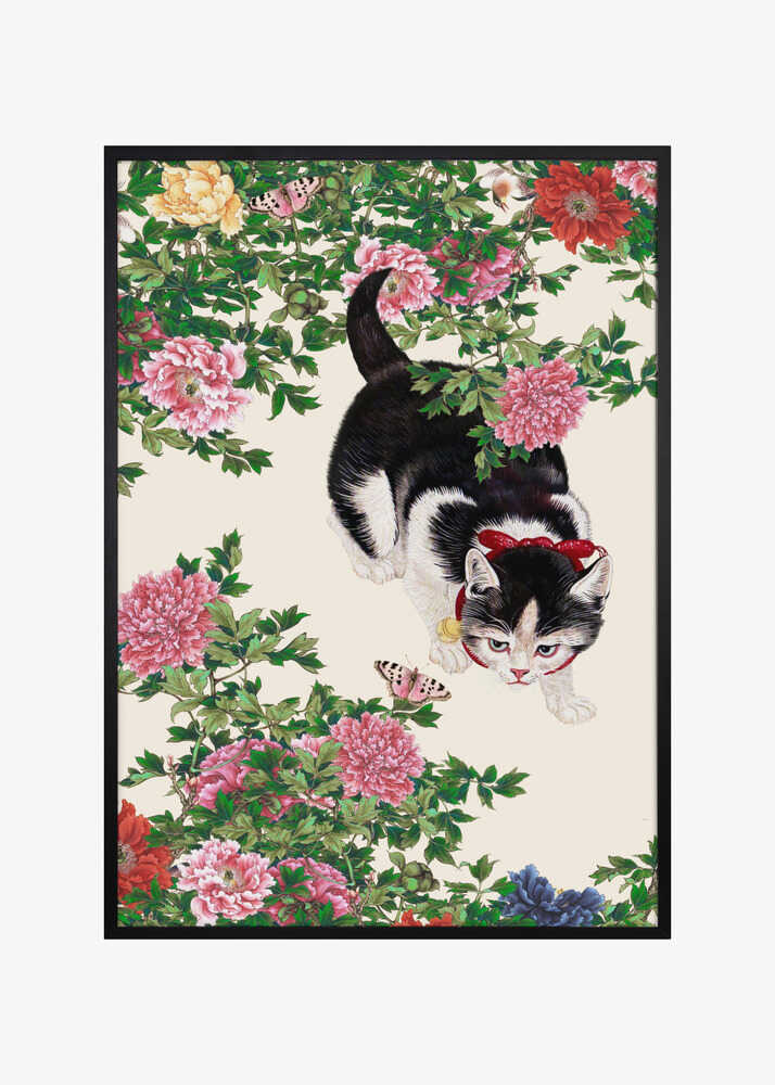 Butterflies, Be Aware