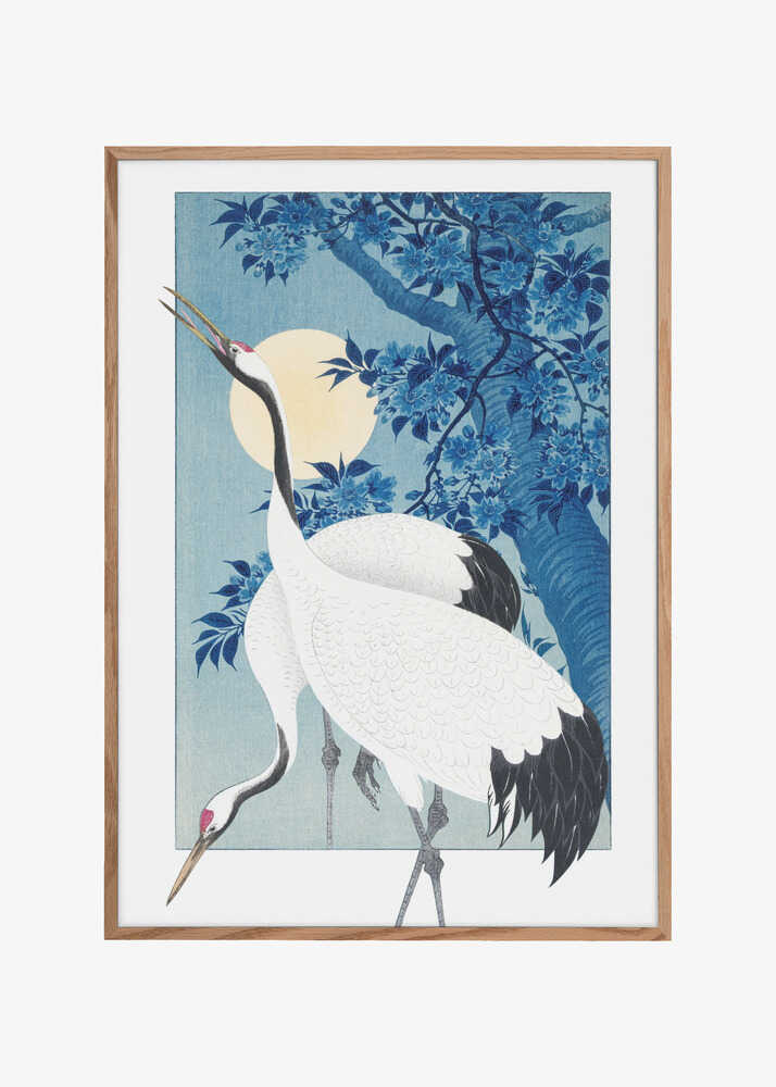 Cranes In a Moonlit Night