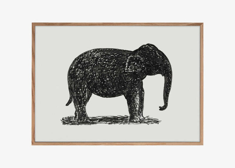 Elephant (ca. 1891–1941)