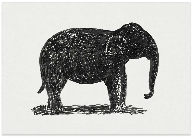 Elephant (ca. 1891–1941)