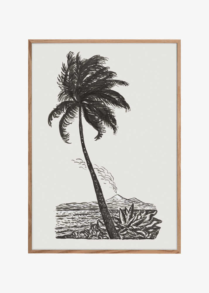 Palm Tree With an Island (ca. 1891–1941)