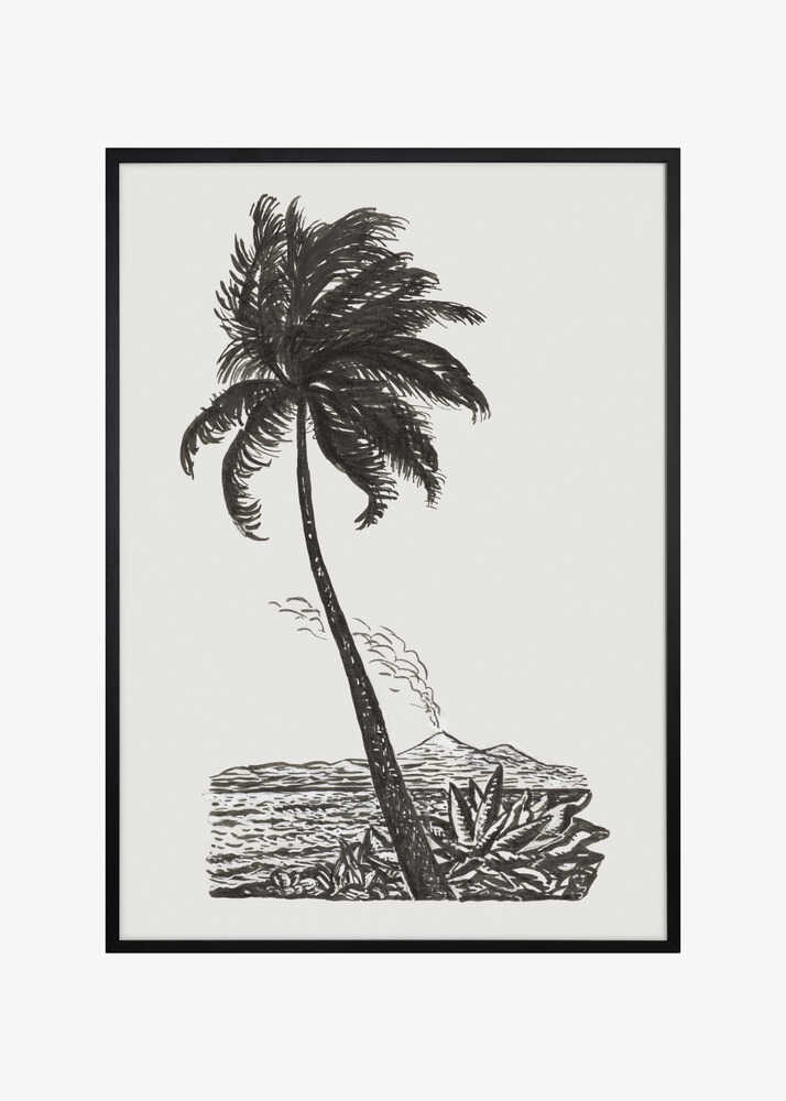 Palm Tree With an Island (ca. 1891–1941)