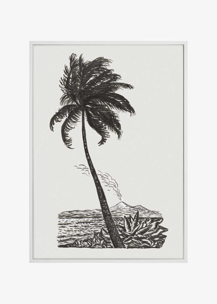 Palm Tree With an Island (ca. 1891–1941)