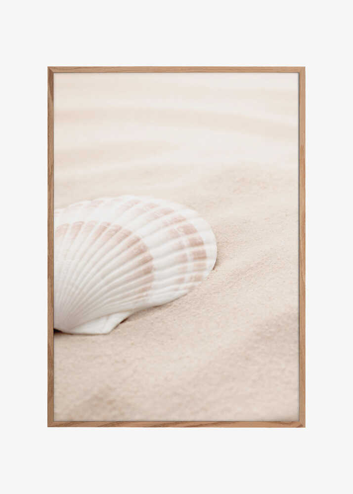 Shell_3