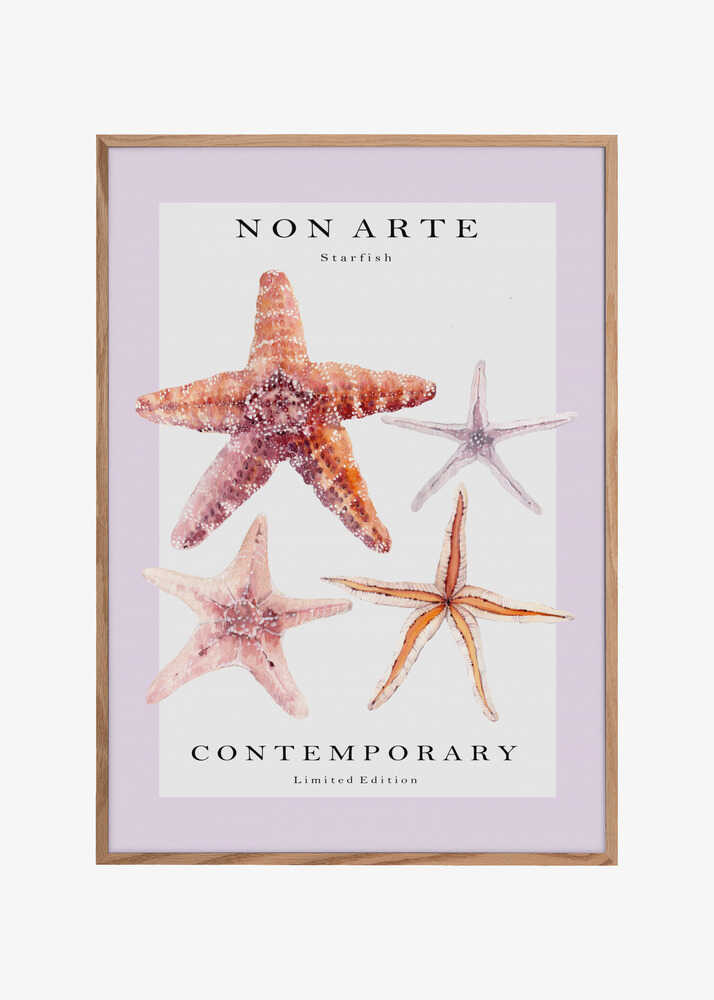 Non Arte Starfish