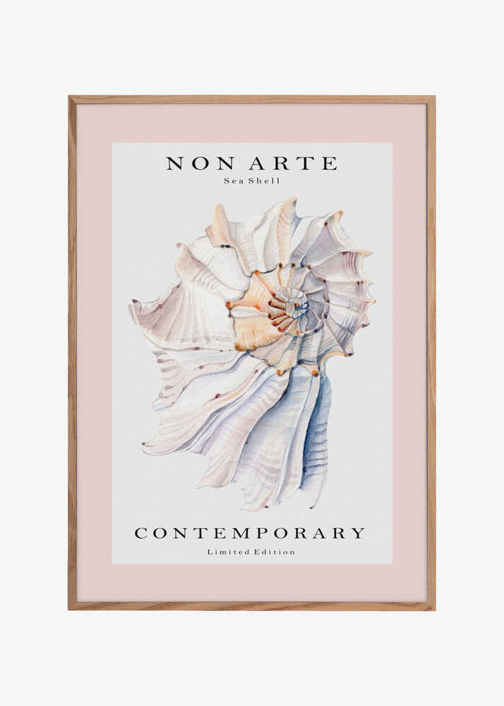 Non Arte Sea Shell no.1