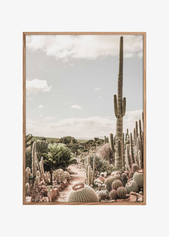 Cactus Farm