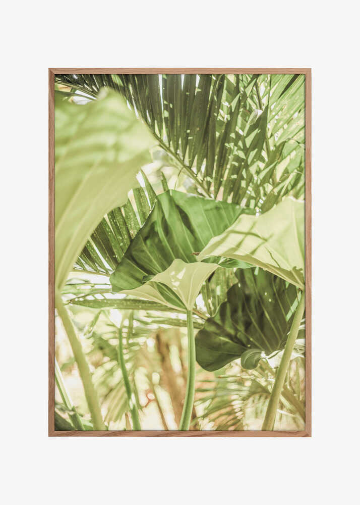 Sunlit Jungle Greens