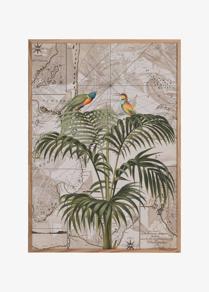 Indonesia Jungle Paradise No3