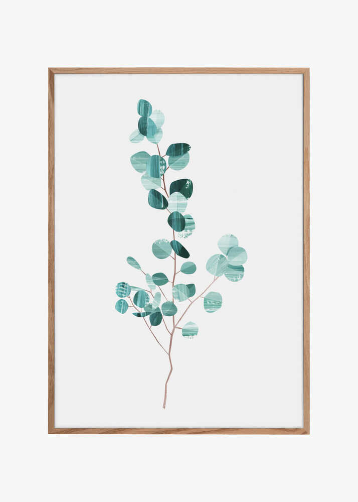Eucalyptus