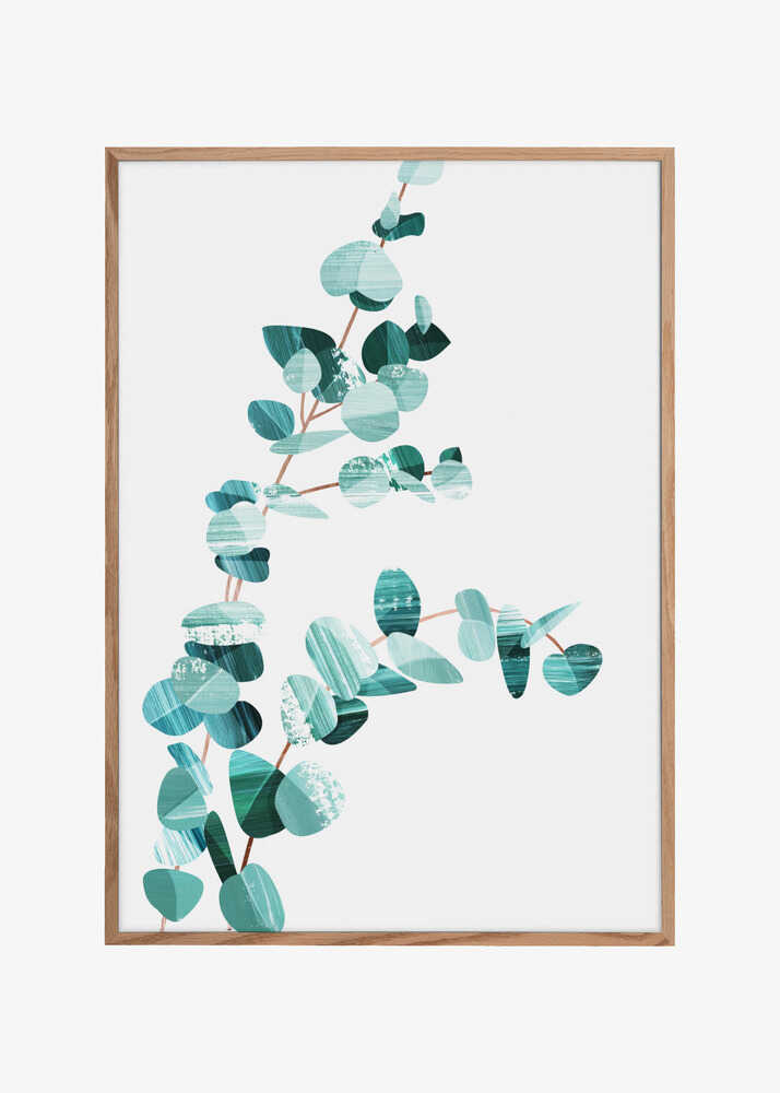 Eucalyptus II
