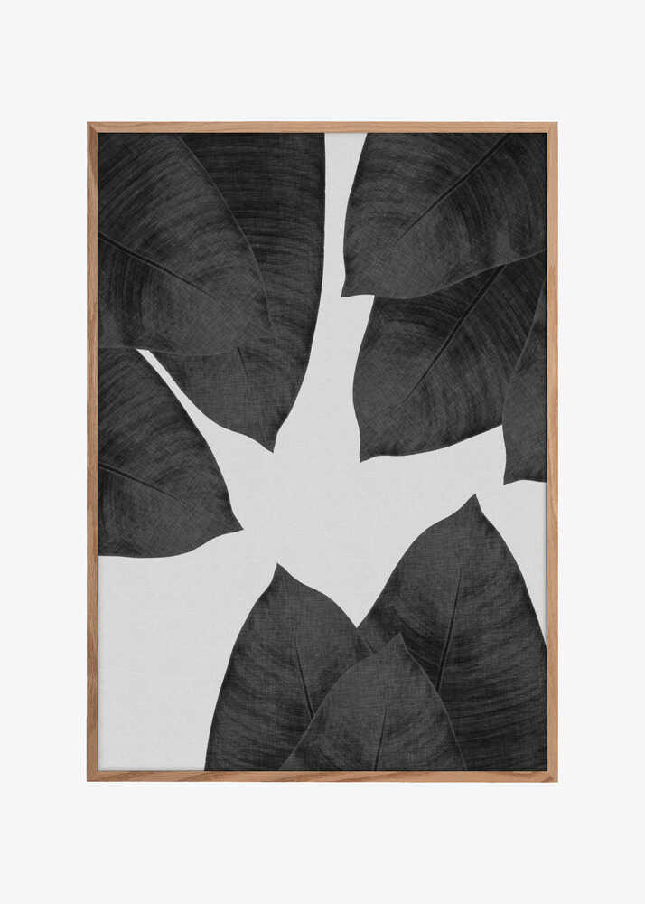 Banana Leaf Black & White I
