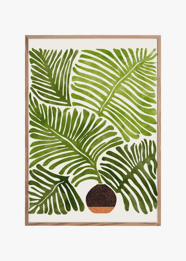 Summer Fern 4x5