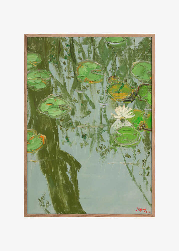 White Water Lily in Pond