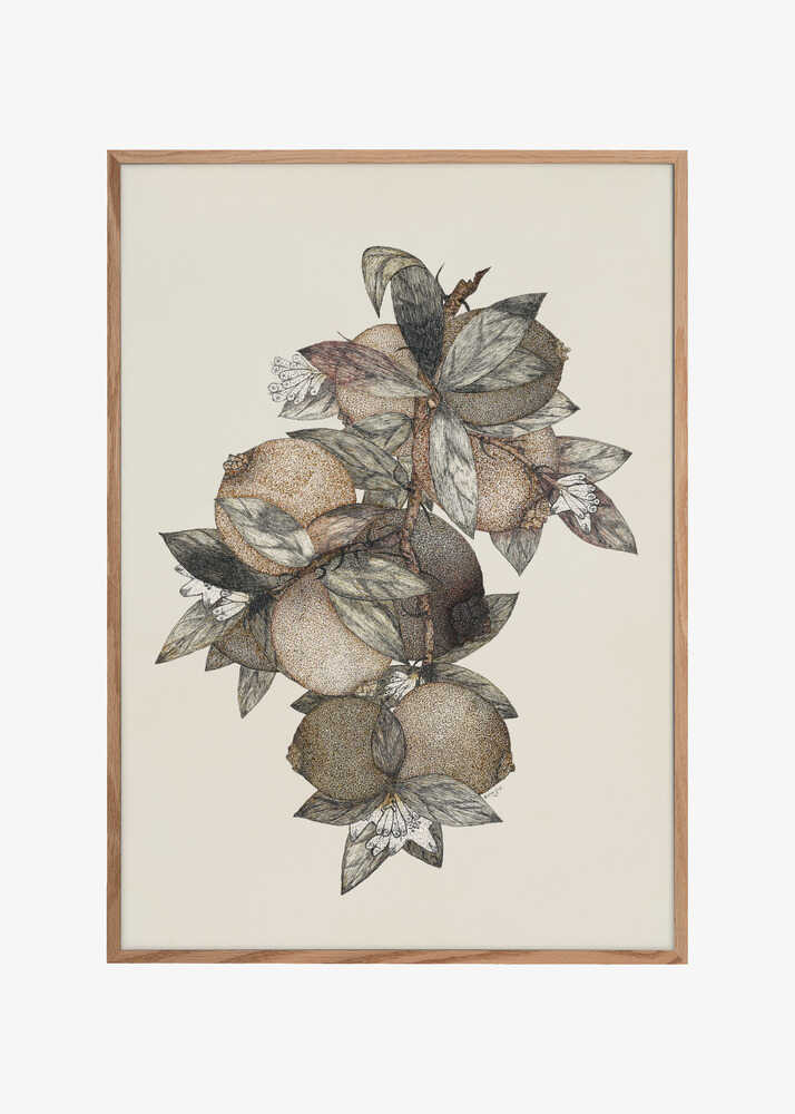 Pomegranate (1867) Rufus King