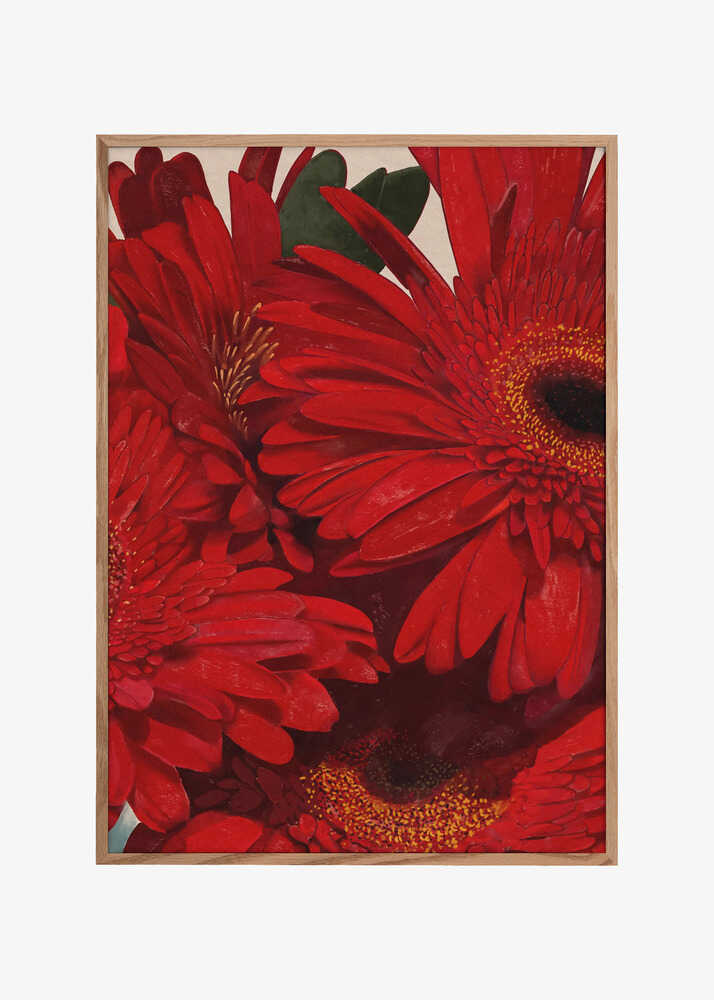 Red Gerbera Daisy Detail