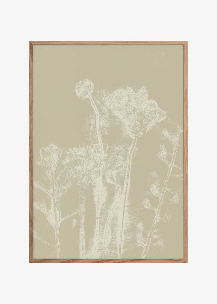 Abstract Florals. White meadow plants and flowers on neutral beige.