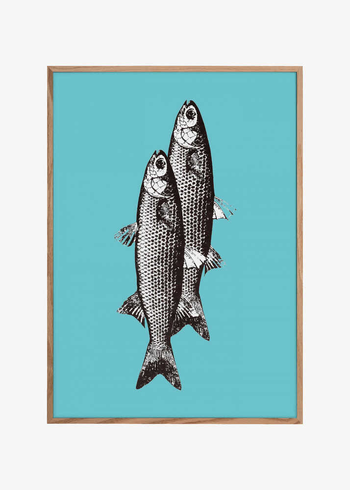 Sardinas