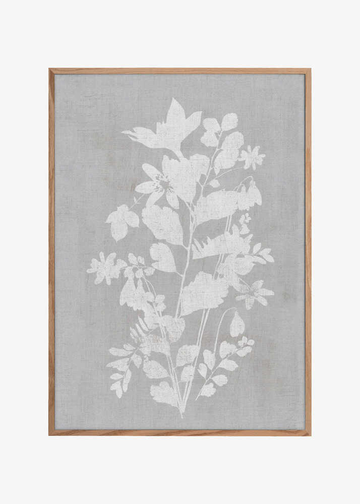 Botanical Illustration 2