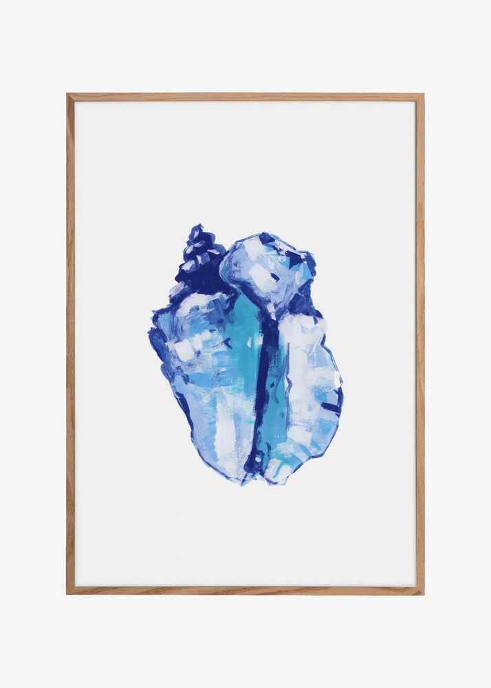 Blue Seashell On White Background No 1