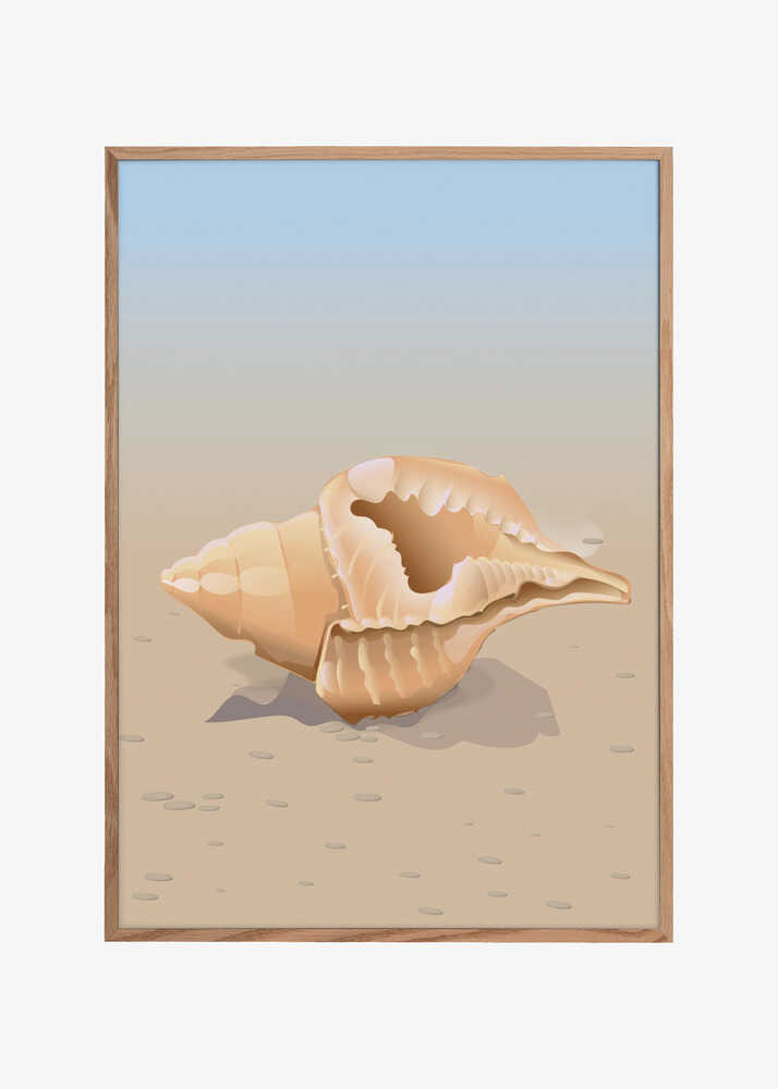 Seaside Shell