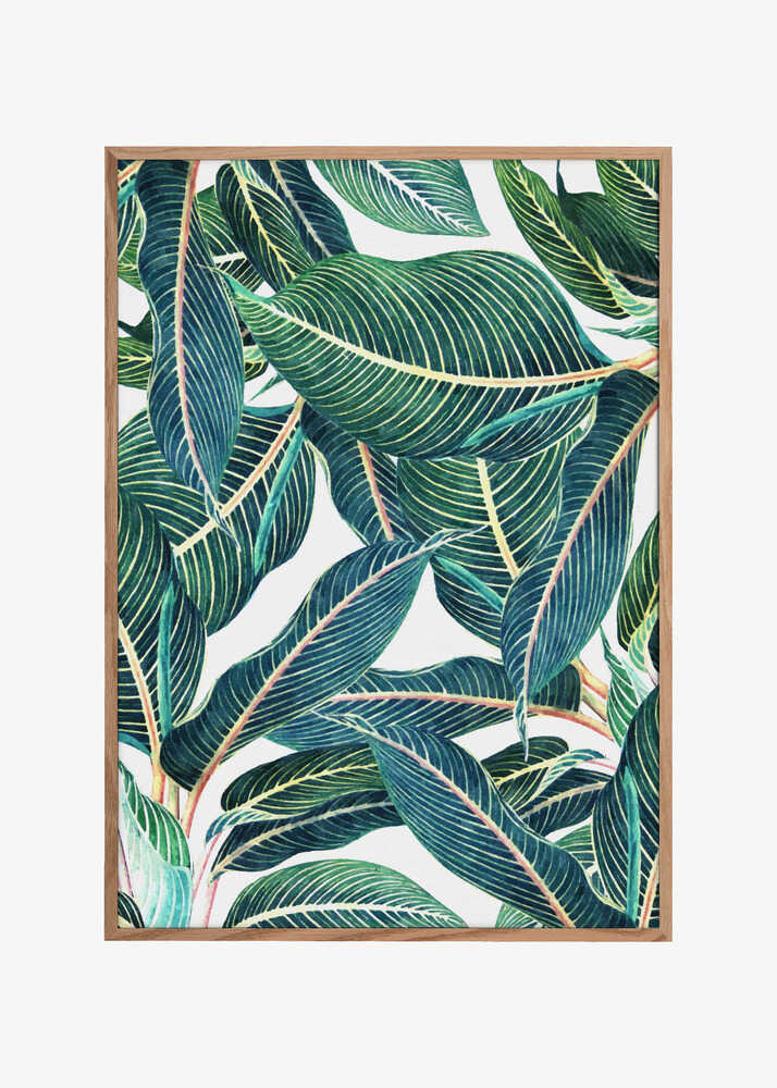 Edge and Dance Botanical