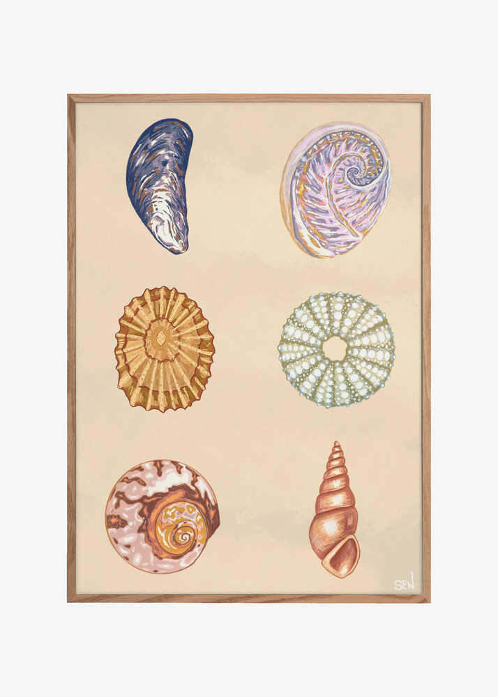 Treasures of the Tide